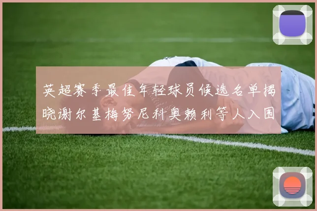 英超赛季最佳年轻球员候选名单揭晓谢尔基梅努尼科奥赖利等人入围