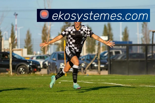 奖项图3